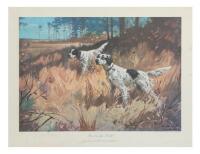 Older Savage-Stevens-Fox Firearms Advertising Print ''First In The Field''