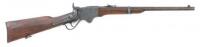 Spencer Model 1865 Repeating Carbine by Burnside Rifle Co.