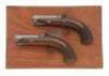 Wonderful Cased Pair of Percussion Pocket Pistols by William & John Rigby - 2