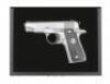 Colt Government Model .380 First Edition Stainless Commemorative Semi-Auto Pistol