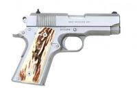 Colt Officers ACP Semi-Auto Pistol