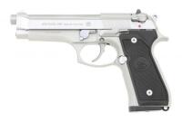 Beretta Model 96 Inox Semi-Auto Pistol