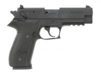 Sig Sauer Mosquito Semi-Auto Pistol