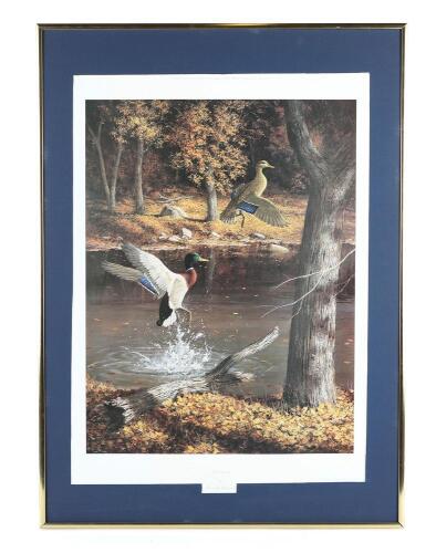 Vivid Framed Waterfowl Print ''Sanctuary''