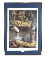 Vivid Framed Waterfowl Print ''Sanctuary''