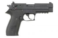 Sig Sauer Mosquito Semi-Auto Pistol