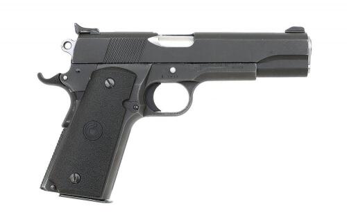 PARA ORDNANCE P14-45 45 ACP - Griffin & Howe
