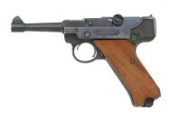 Stoeger .22 Cal. Luger Semi-Auto Pistol