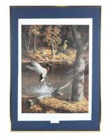 Vivid Framed Waterfowl Print “Sanctuary”