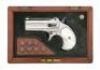 Cased Remington Model 95 Double Deringer - 2