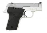 Smith & Wesson Model 2213 Sportsman Semi-Auto Pistol