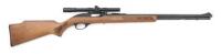 Marlin/Glenfield Model 60 Semi-Auto Rifle