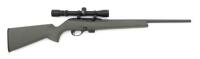 Remington Model 597 Semi-Auto Rifle