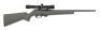 Remington Model 597 Semi-Auto Rifle