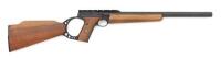 Browning Buck Mark Semi-Auto Rifle