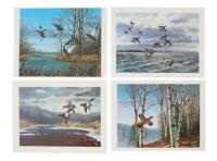 Assorted Gamebird Prints