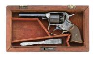 Cased Remington-Rider Percussion Pocket Revolver