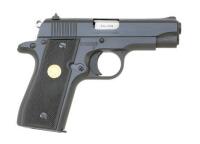 Colt Government Model .380 Semi-Auto Pistol