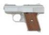 Raven Arms MP-25 Semi-Auto Pistol