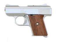 Raven Arms MP-25 Semi-Auto Pistol