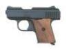 Raven Arms MP-25 Semi-Auto Pistol