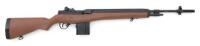 Winchester M14 Air Rifle