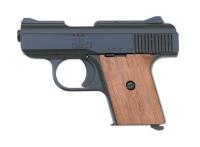 Raven Arms Model MP-25 Semi-Auto Pistol