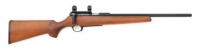 Excellent Izhmash Model Biathlon Basic Bolt Action Rifle