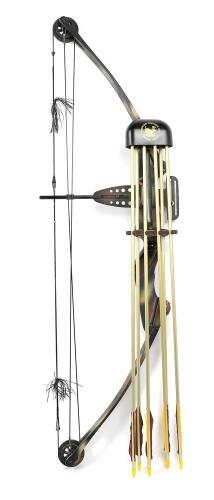 Darton Compound Bow