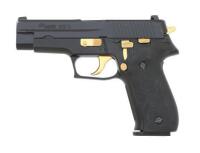 Sig Sauer P226 Semi-Auto Pistol