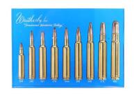 Weatherby Nine Cartridge Lucite Display