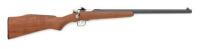 Rogue Rifle Co. Chipmunk Bolt Action Youth Rifle