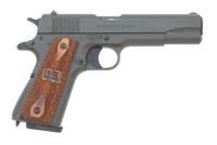 Springfield Armory 1911-A1 Semi-Auto Pistol