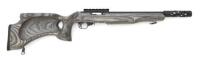 Custom Ruger 10/22 Semi-Auto Carbine