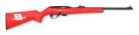 Remington Model 597 Dale Earnhardt Jr Commemorative Semi-Auto Rifle