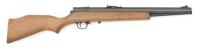 Crosman 1400 Pumpmaster Multi-Pump Pneumatic Air Rifle