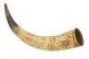 Decorative Carved Horn - 2