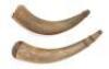 Carved Powder Horns