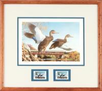 Framed Duck Stamp Print