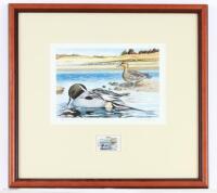 Framed Duck Stamp Print