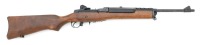 Ruger Mini-14 Semi-Auto Rifle