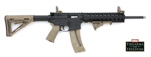 Smith & Wesson M&P15-22 Semi-Auto Carbine