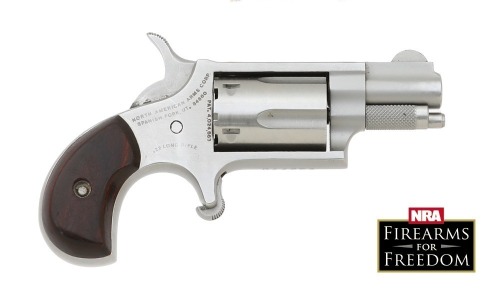 North American Arms NAA 22 Mini Revolver