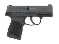 Sig Sauer P365 Semi-Auto Pistol