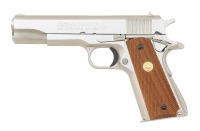 Colt Government Model Semi-Auto Pistol - 2