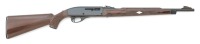 Remington Nylon 66 Bicentennial Semi-Auto Rifle