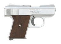 Raven Arms MP-25 Semi-Automatic Pistol