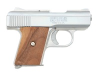 Raven Arms MP-25 Semi-Automatic Pistol Sequentially Numbered