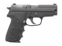 Sig Sauer P229 Semi-Automatic Pistol