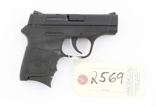 Smith & Wesson Bodyguard Semi-Auto Pistol